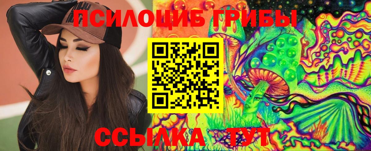 Псилоцибиновые грибы Cubensis Владивосток
