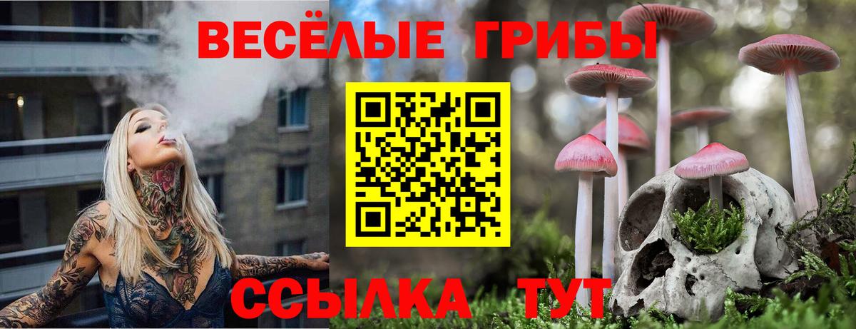 Галлюциногенные грибы мухоморы  Вход с VPN  Владивосток  Галлюциногенные грибы Magic Shrooms 